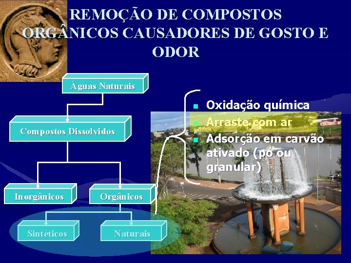 REMOÇÃO DE COMPOSTOS ORG NICOS CAUSADORES DE GOSTO E ODOR Águas Naturais n Compostos