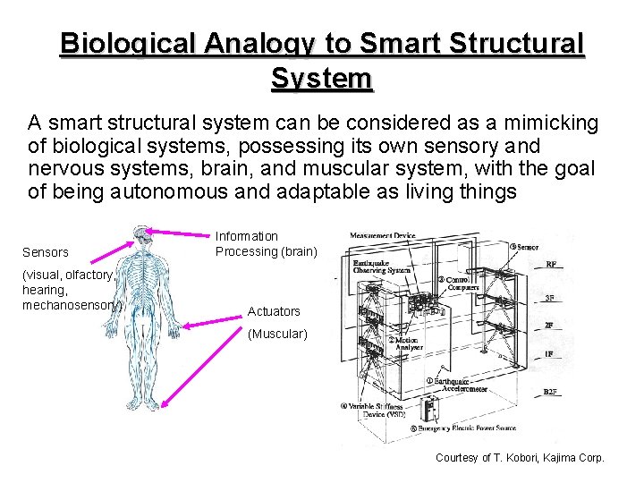 Biological Analogy to Smart Structural System A smart structural system can be considered as Biological Analogy to Smart Structural System A smart structural system can be considered as