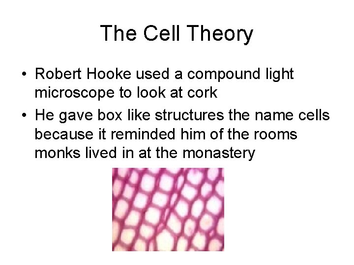 The Cell Theory • Robert Hooke used a compound light microscope to look at