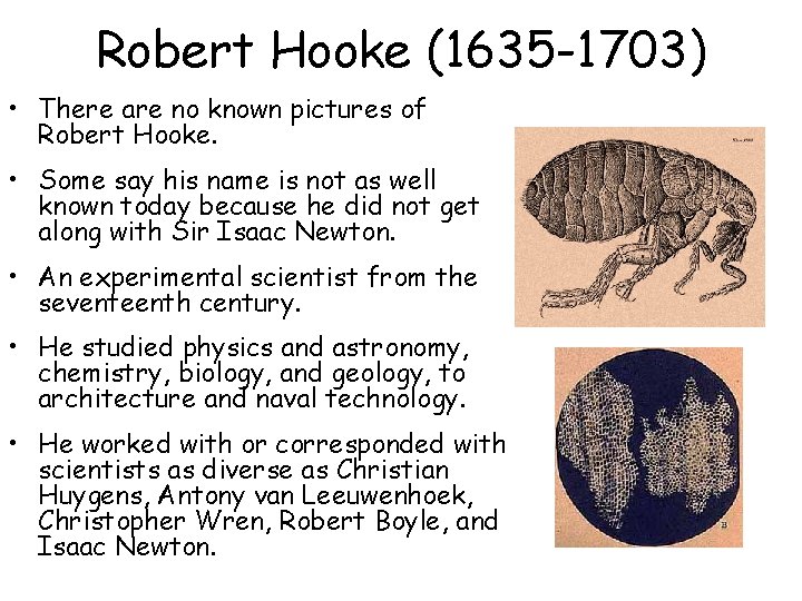 Robert Hooke (1635 -1703) • There are no known pictures of Robert Hooke. •