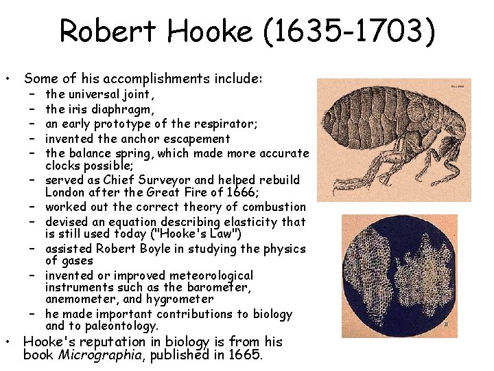 Robert Hooke (1635 -1703) • Some of his accomplishments include: – – – the