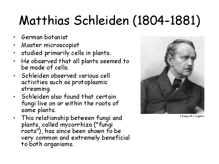 Matthias Schleiden (1804 -1881) • • German botanist Master microscopist studied primarily cells in