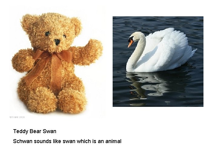 Teddy Bear Swan Schwan sounds like swan which is an animal 