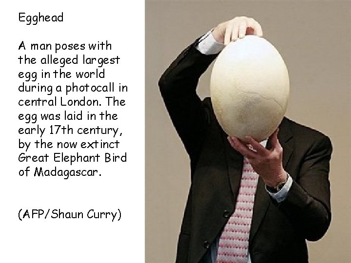 Egghead A man poses with the alleged largest egg in the world during a