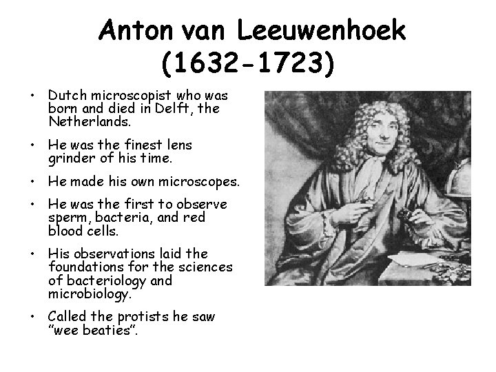 Anton van Leeuwenhoek (1632 -1723) • Dutch microscopist who was born and died in