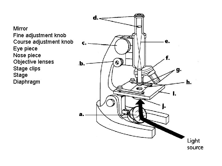 Mirror Fine adjustment knob Course adjustment knob Eye piece Nose piece Objective lenses Stage