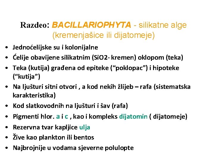 Razdeo: BACILLARIOPHYTA - silikatne alge (kremenjašice ili dijatomeje) • Jednoćelijske su i kolonijalne •