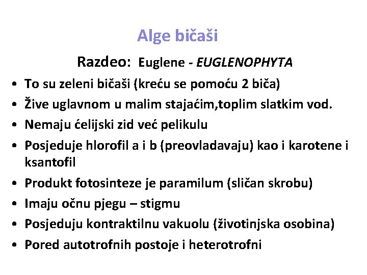 Alge bičaši Razdeo: Euglene - EUGLENOPHYTA • • To su zeleni bičaši (kreću se