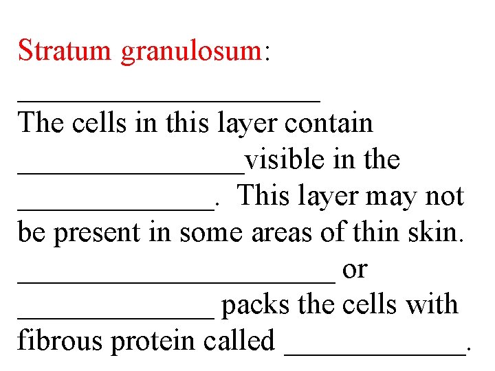 Stratum granulosum: __________ The cells in this layer contain ________visible in the _______. This