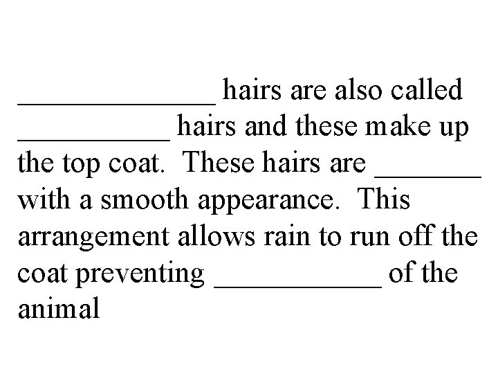 _______ hairs are also called _____ hairs and these make up the top coat.