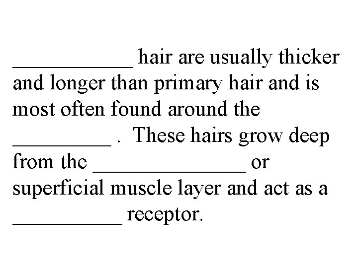 ______ hair are usually thicker and longer than primary hair and is most often