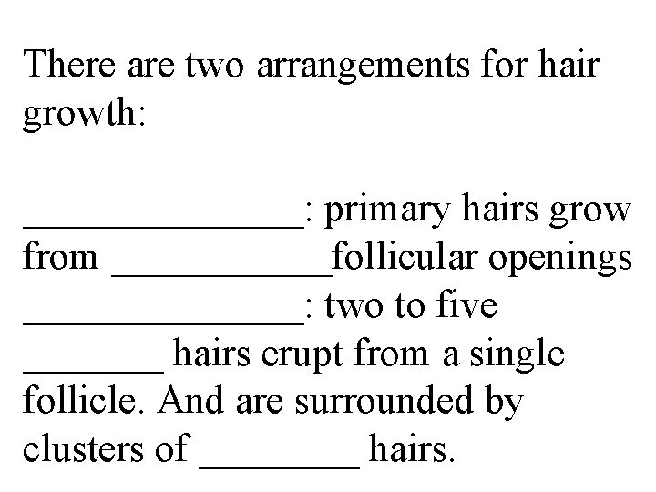 There are two arrangements for hair growth: _______: primary hairs grow from ______follicular openings
