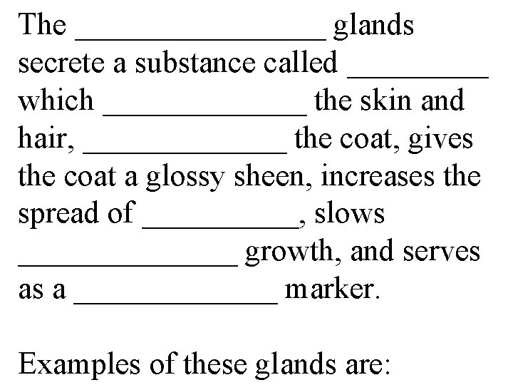 The ________ glands secrete a substance called _____ which _______ the skin and hair,