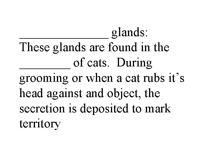 _______ glands: These glands are found in the ____ of cats. During grooming or