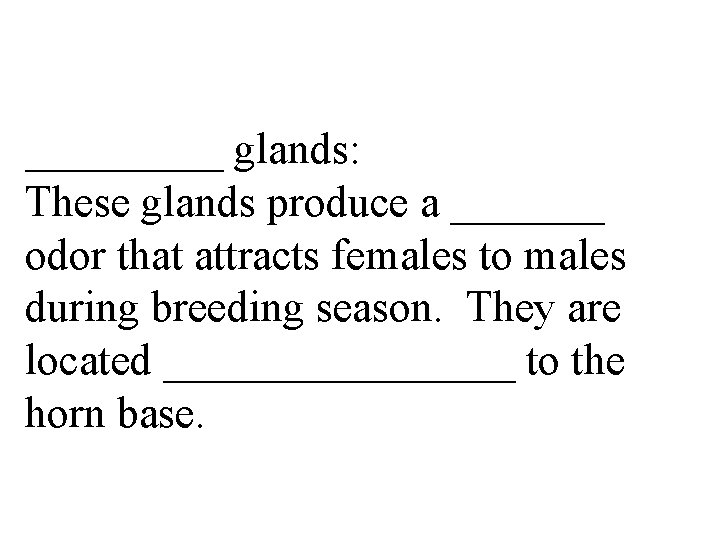 _____ glands: These glands produce a _______ odor that attracts females to males during