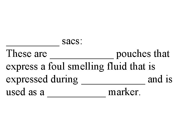 _____ sacs: These are ______ pouches that express a foul smelling fluid that is