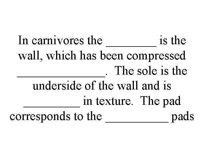 In carnivores the ____ is the wall, which has been compressed _______. The sole