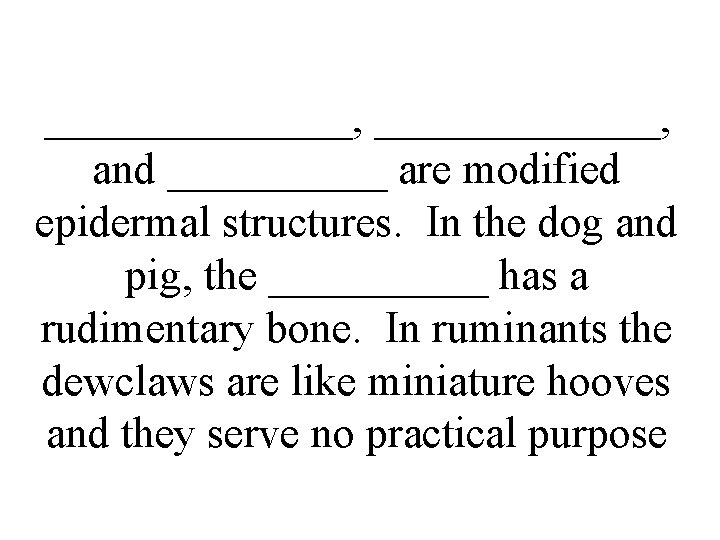 _______, and _____ are modified epidermal structures. In the dog and pig, the _____