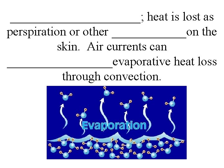 ___________; heat is lost as perspiration or other ______on the skin. Air currents can