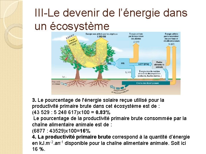 III-Le devenir de l’énergie dans un écosystème 3. Le pourcentage de l'énergie solaire reçue III-Le devenir de l’énergie dans un écosystème 3. Le pourcentage de l'énergie solaire reçue