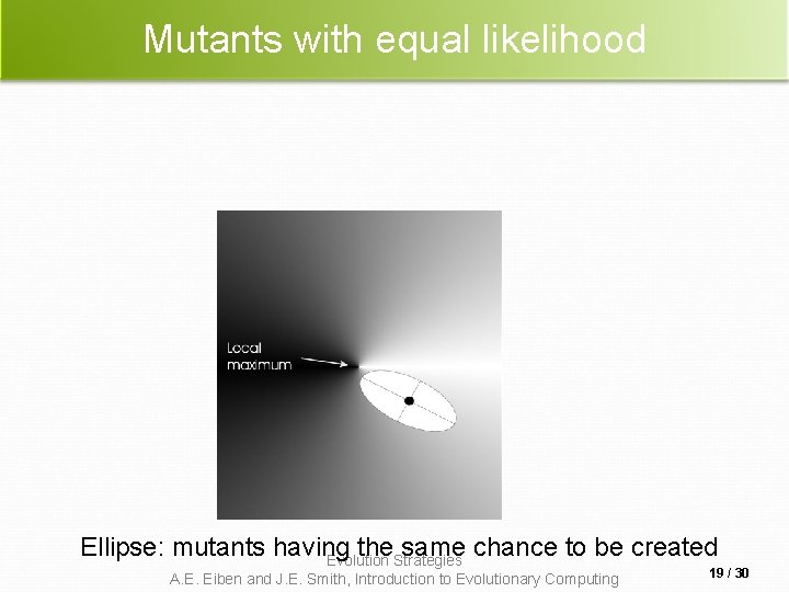 Mutants with equal likelihood Ellipse: mutants having the same chance to be created Evolution