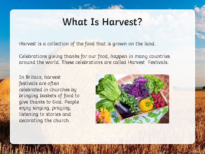 What Is Harvest? Harvest is a collection of the food that is grown on