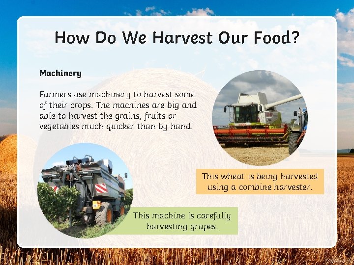 How Do We Harvest Our Food? Machinery Farmers use machinery to harvest some of