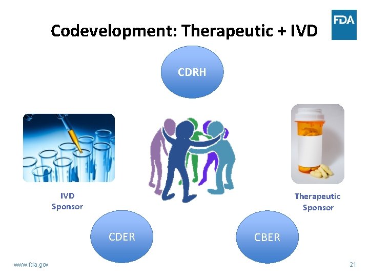 Codevelopment: Therapeutic + IVD CDRH IVD Sponsor Therapeutic Sponsor CDER www. fda. gov CBER