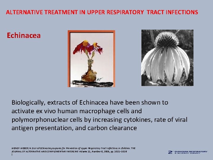 ALTERNATIVE TREATMENT IN UPPER RESPIRATORY TRACT INFECTIONS Echinacea Biologically, extracts of Echinacea have been