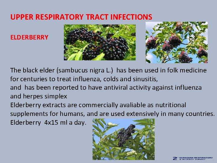 UPPER RESPIRATORY TRACT INFECTIONS ELDERBERRY The black elder (sambucus nigra L. ) has been