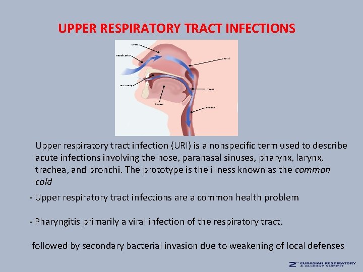 UPPER RESPIRATORY TRACT INFECTIONS Upper respiratory tract infection (URI) is a nonspecific term used