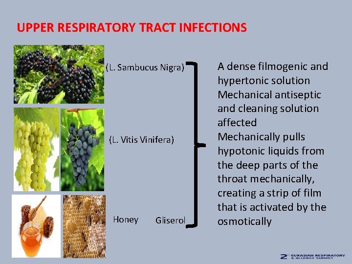 UPPER RESPIRATORY TRACT INFECTIONS (L. Sambucus Nigra) (L. Vitis Vinifera) Honey Gliserol A dense