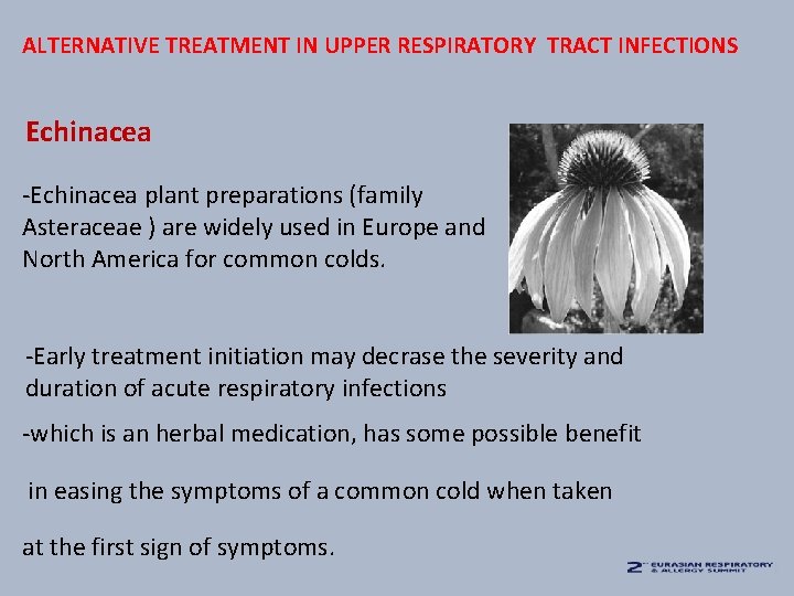 ALTERNATIVE TREATMENT IN UPPER RESPIRATORY TRACT INFECTIONS Echinacea -Echinacea plant preparations (family Asteraceae )