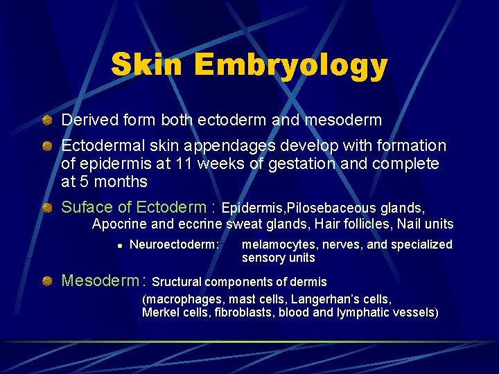 Skin Embryology Derived form both ectoderm and mesoderm Ectodermal skin appendages develop with formation Skin Embryology Derived form both ectoderm and mesoderm Ectodermal skin appendages develop with formation