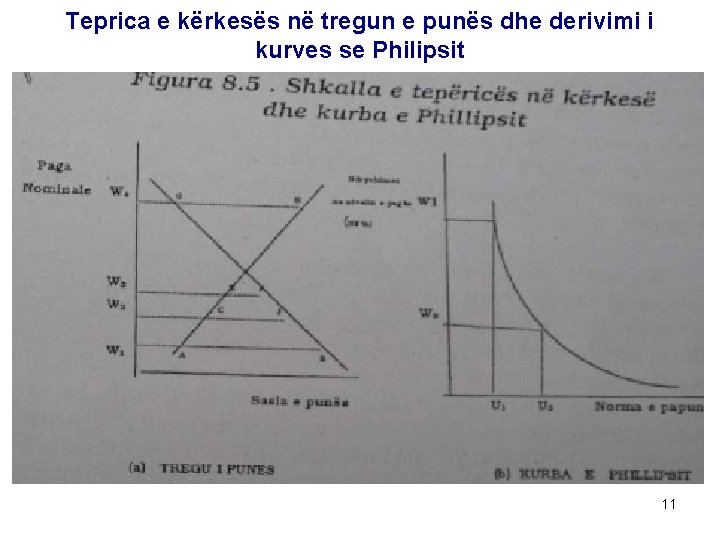 Teprica e kërkesës në tregun e punës dhe derivimi i kurves se Philipsit 11 Teprica e kërkesës në tregun e punës dhe derivimi i kurves se Philipsit 11