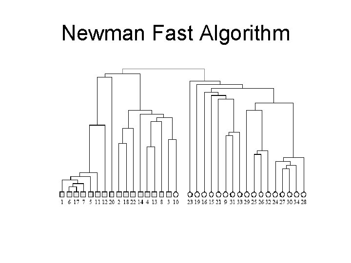 Newman Fast Algorithm 