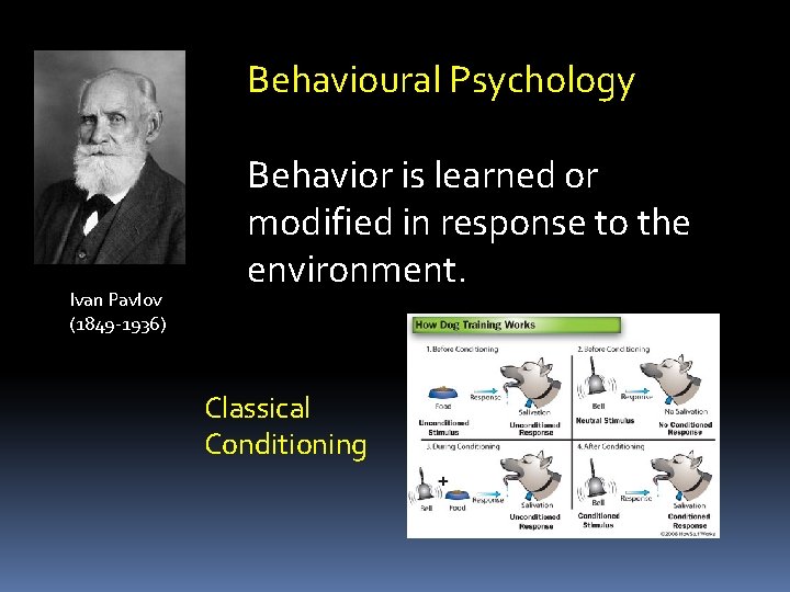 Behavioural Psychology Ivan Pavlov (1849 -1936) Behavior is learned or modified in response to