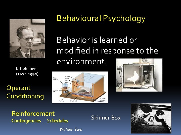 Behavioural Psychology Behavior is learned or modified in response to the environment. B F