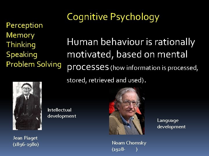 Perception Memory Thinking Speaking Problem Solving Cognitive Psychology Human behaviour is rationally motivated, based