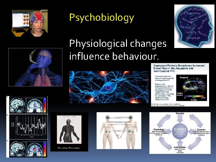 Psychobiology Physiological changes influence behaviour. 