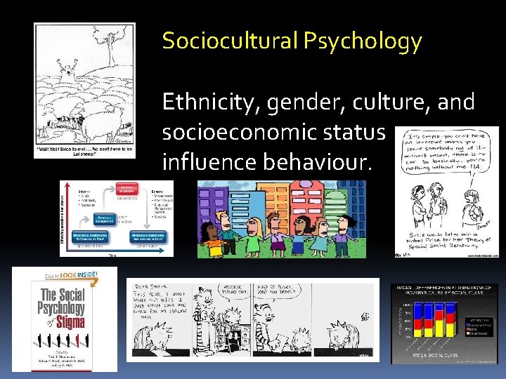 Sociocultural Psychology Ethnicity, gender, culture, and socioeconomic status influence behaviour. 