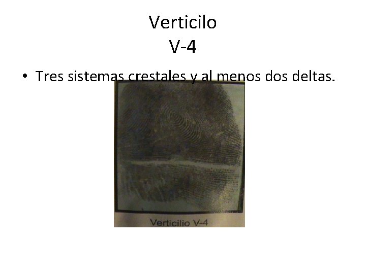 Verticilo V-4 • Tres sistemas crestales y al menos deltas. 