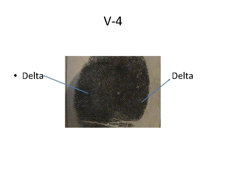 V-4 • Delta 