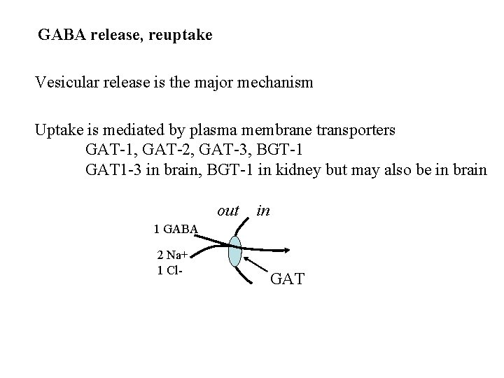 GABA release, reuptake Vesicular release is the major mechanism Uptake is mediated by plasma