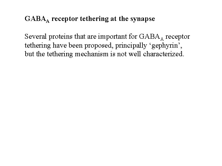 GABAA receptor tethering at the synapse Several proteins that are important for GABAA receptor