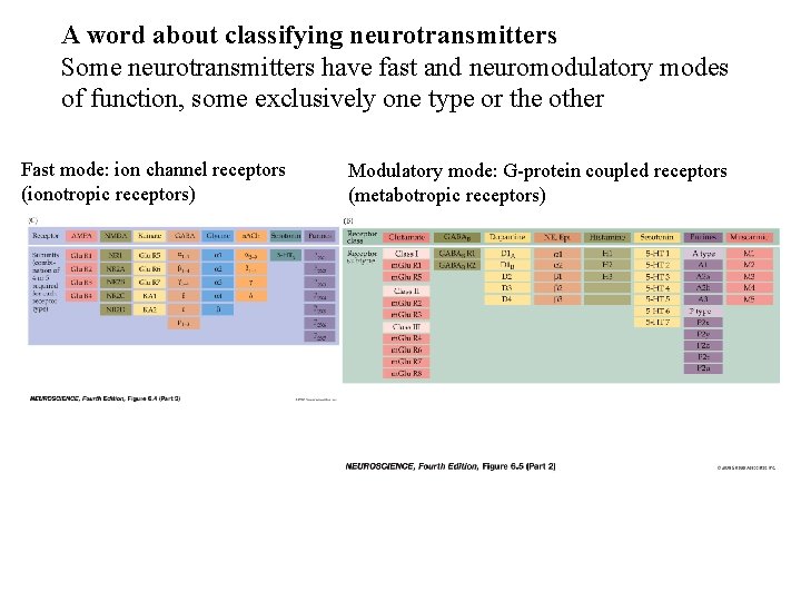 A word about classifying neurotransmitters Some neurotransmitters have fast and neuromodulatory modes of function,