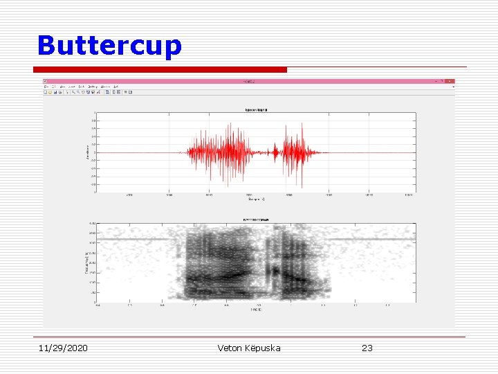 Buttercup 11/29/2020 Veton Këpuska 23 