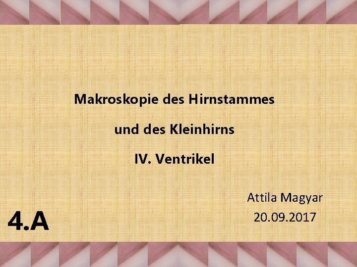 Makroskopie des Hirnstammes und des Kleinhirns IV. Ventrikel 4. A Attila Magyar 20. 09.