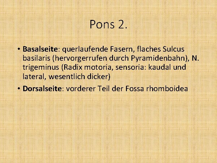 Pons 2. • Basalseite: querlaufende Fasern, flaches Sulcus basilaris (hervorgerrufen durch Pyramidenbahn), N. trigeminus