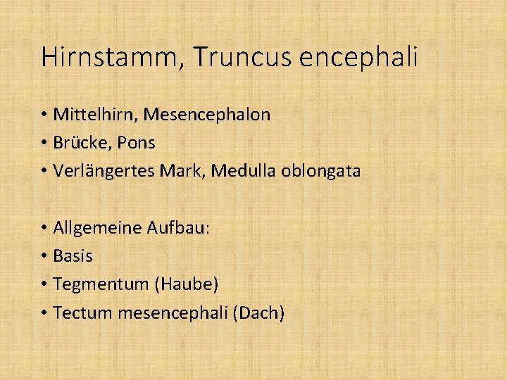 Hirnstamm, Truncus encephali • Mittelhirn, Mesencephalon • Brücke, Pons • Verlängertes Mark, Medulla oblongata